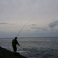 釣行レポートの画像4