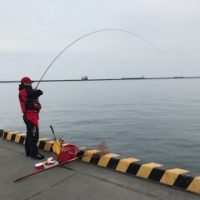 釣行レポートの画像5