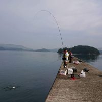 釣行レポートの画像3